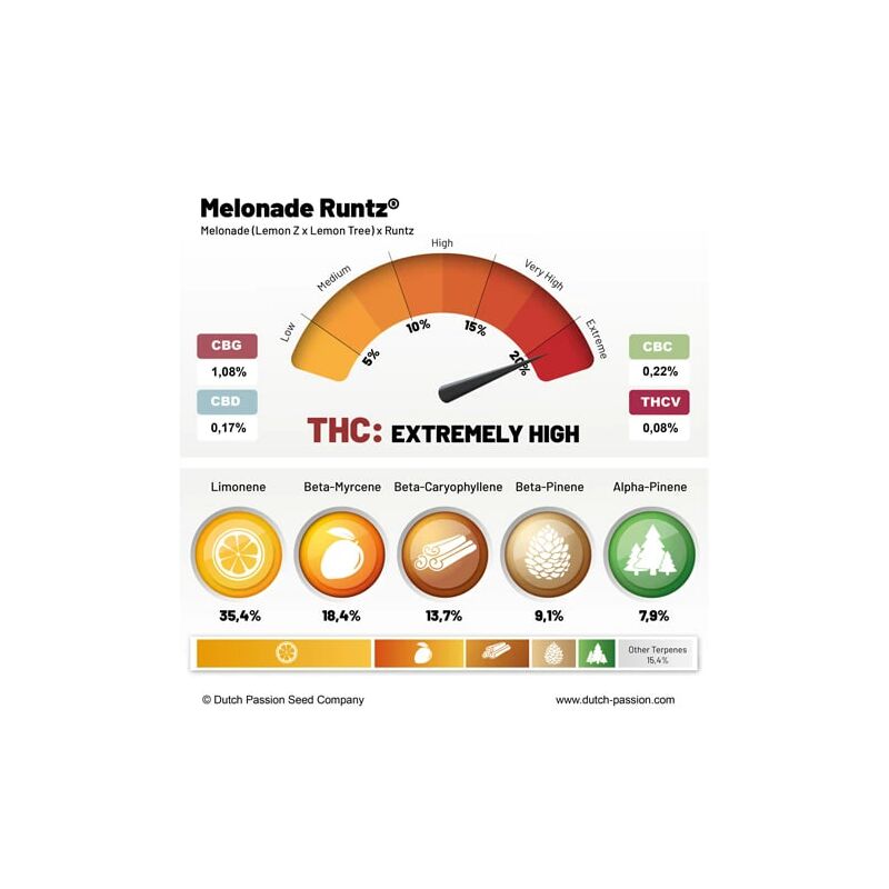 Melonade Runtz, Фасовка: 3, изображение 5